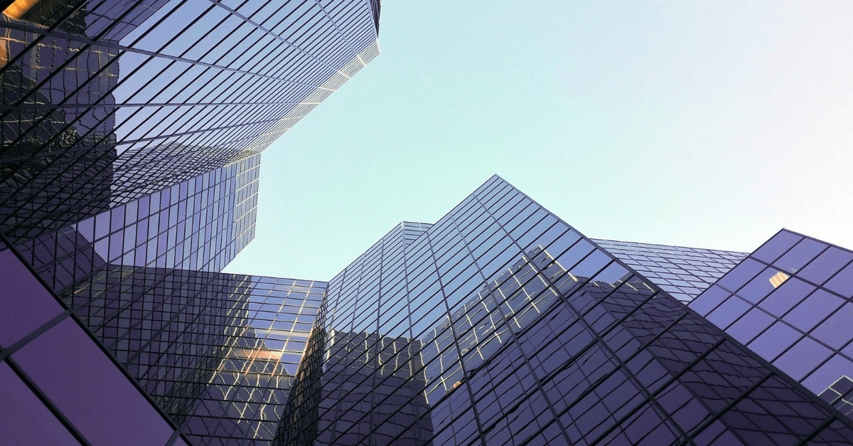 Stablein Solutions Company Lookup